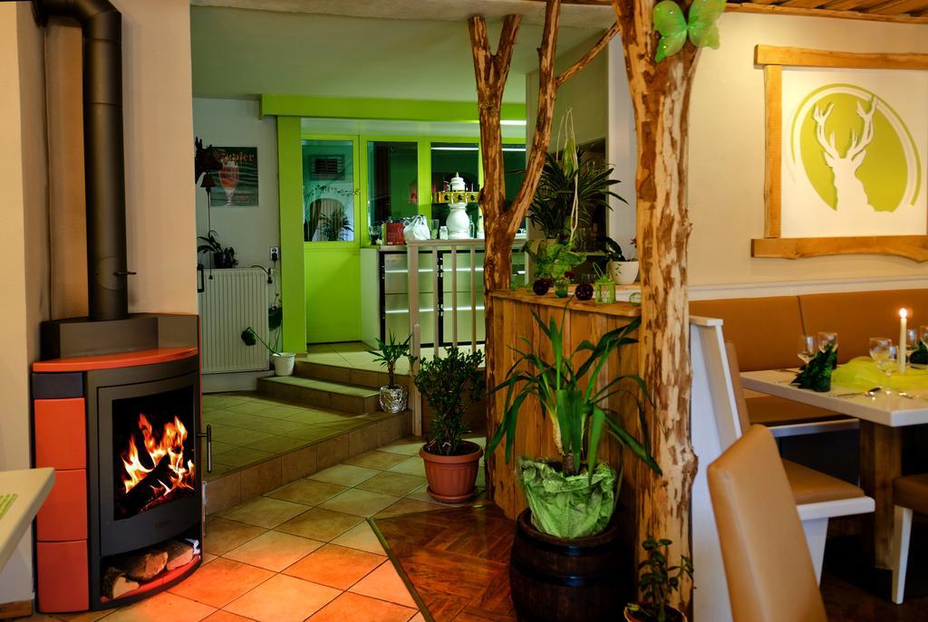 Pension Zum Hirsch Göda Esterno foto
